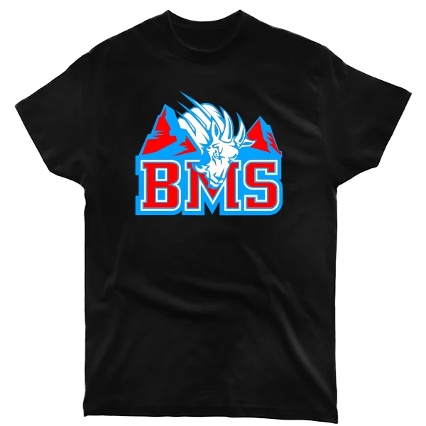 Чоловіча футболка BMS