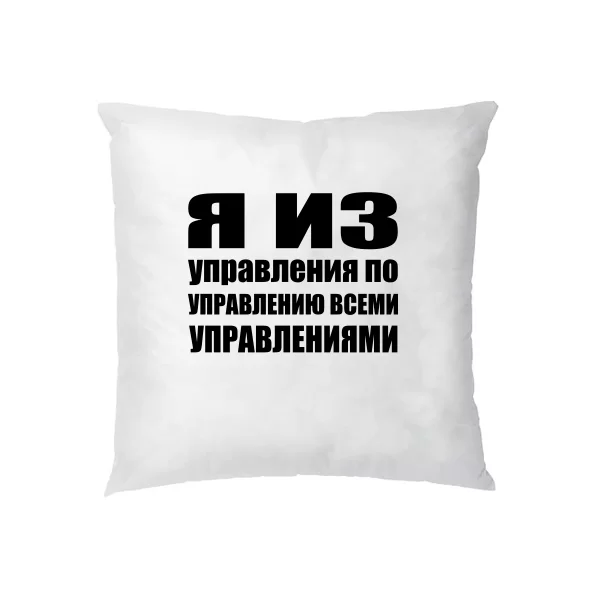 Подушка Я из Управления
