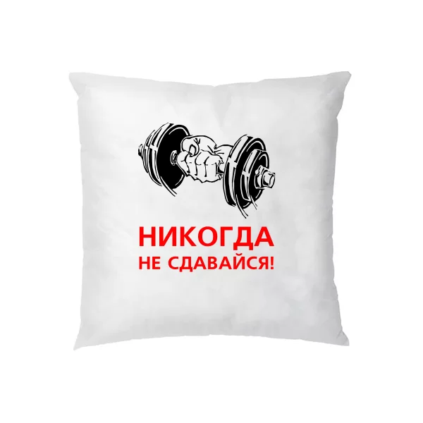 Подушка Ніколи не здавайся 8108