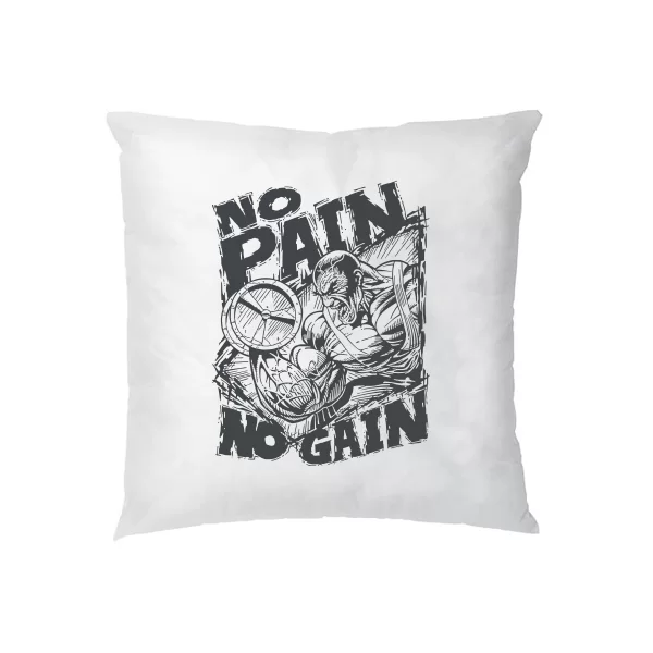 Подушка No Pain No Gain