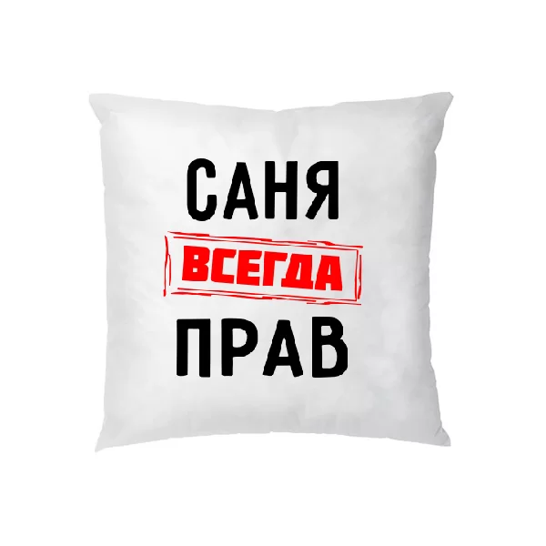 Подушка Саня всегда прав