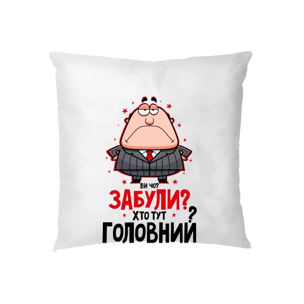 Подушка Забули Хто Головний 17005